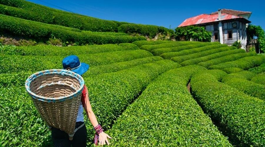 KIŞ ÖZEL OTOBÜSLÜ DOĞU KARADENİZ BATUM GÜRCİSTAN TURU