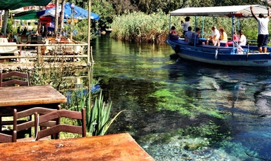 DATÇA BADEM ÇİÇEĞİ FESTİVALİ