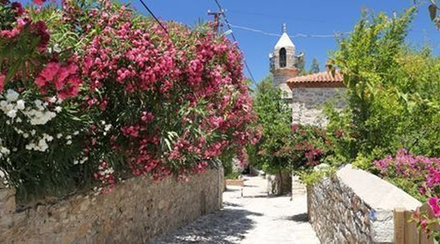 DATÇA BADEM ÇİÇEĞİ FESTİVALİ