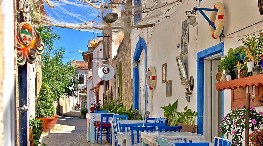 ALAÇATILI EGE TURU (İZMİR TİRE BİRGE ÖDEMİŞ)