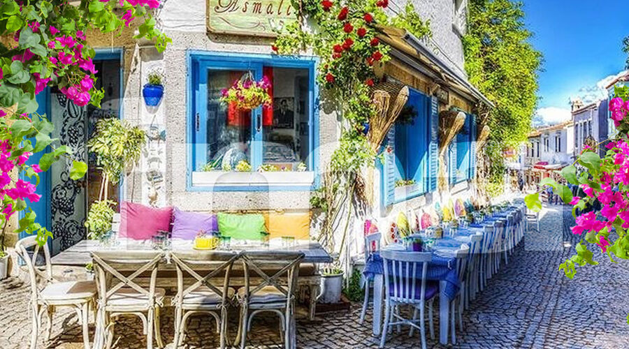 ALAÇATILI EGE TURU (İZMİR TİRE BİRGE ÖDEMİŞ)