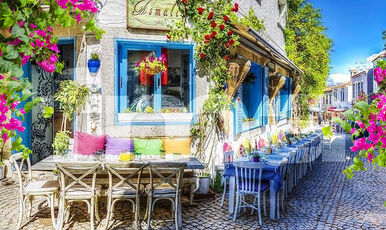 ALAÇATILI EGE TURU (İZMİR TİRE BİRGE ÖDEMİŞ)