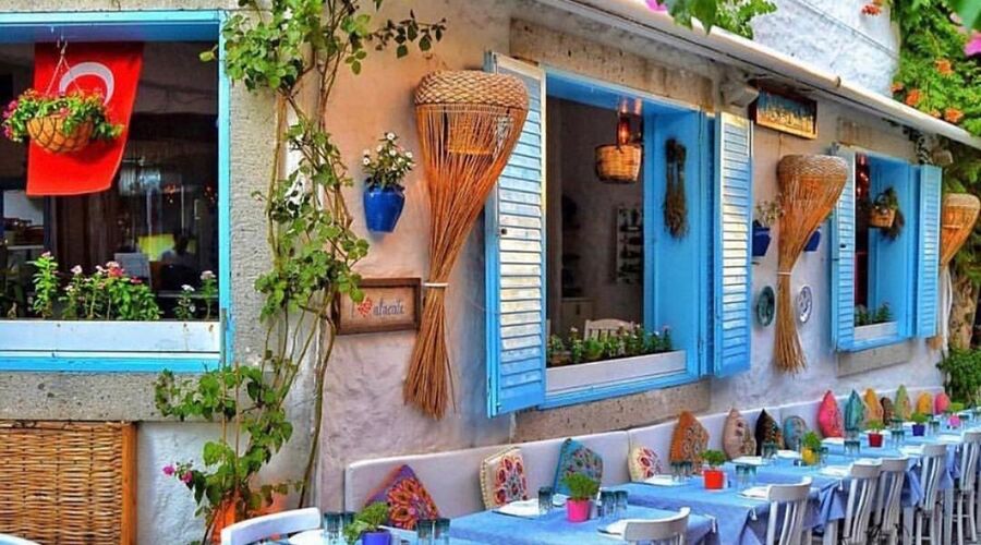 ALAÇATILI EGE TURU (İZMİR TİRE BİRGE ÖDEMİŞ)