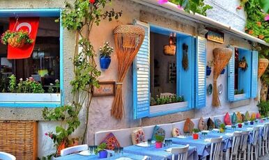 ALAÇATILI EGE TURU (İZMİR TİRE BİRGE ÖDEMİŞ)