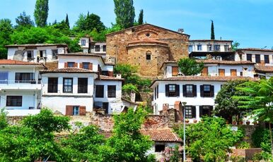 ALAÇATILI EGE TURU (İZMİR TİRE BİRGE ÖDEMİŞ)