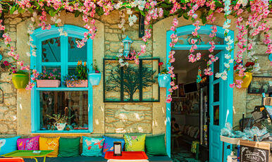 ALAÇATILI EGE TURU (İZMİR TİRE BİRGE ÖDEMİŞ)