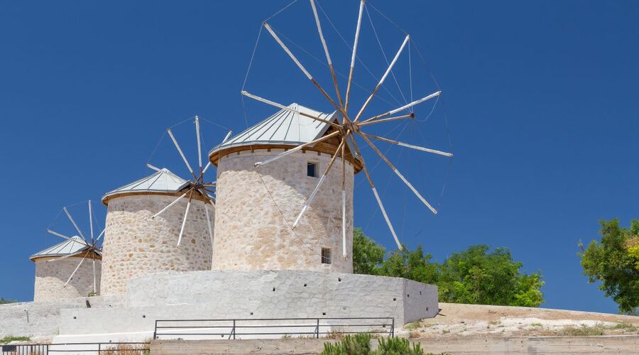 ALAÇATILI EGE TURU (İZMİR TİRE BİRGE ÖDEMİŞ)