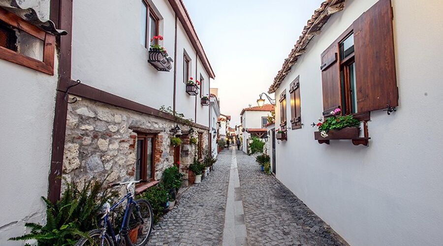 ALAÇATILI EGE TURU (İZMİR TİRE BİRGE ÖDEMİŞ)