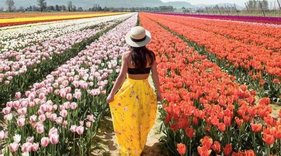 KONYA VE LALE BAHÇELERİ TURU