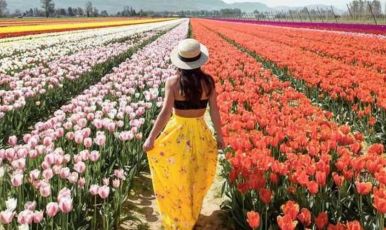 KONYA VE LALE BAHÇELERİ TURU