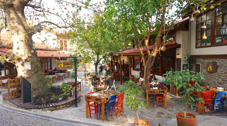 BAYINDIR ÇİÇEK FESTİVALİ VE EGE TURU