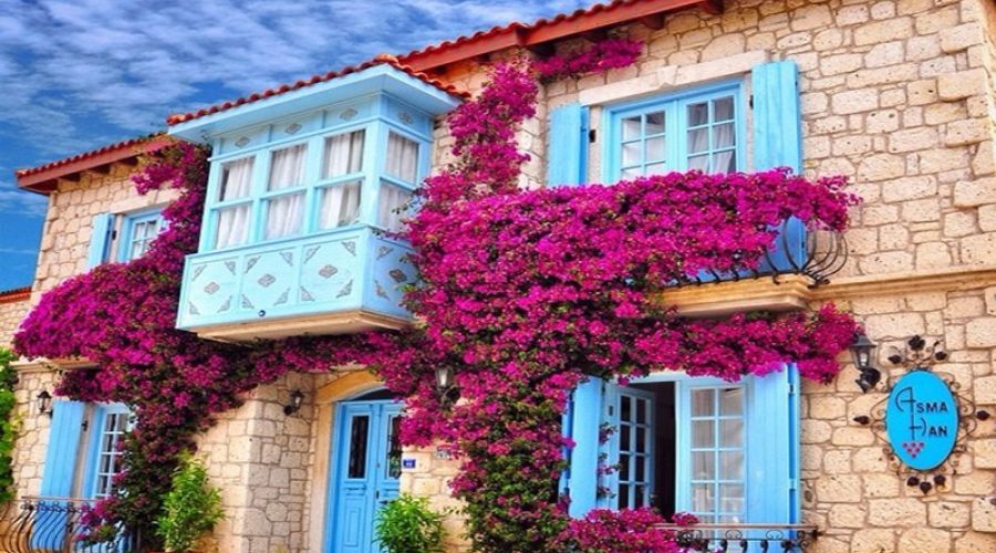 BAYINDIR ÇİÇEK FESTİVALİ VE EGE TURU