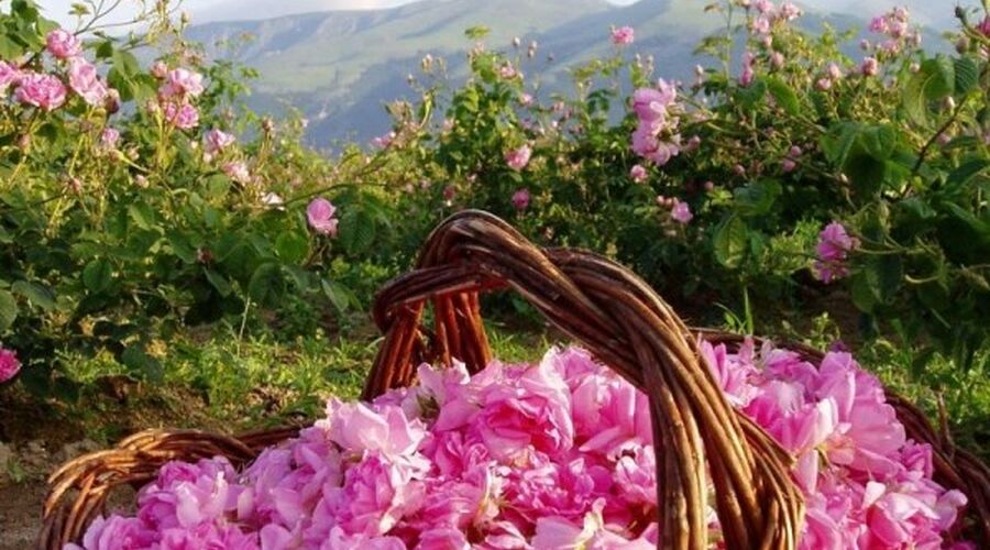ISPARTA GÜL BAHÇELERİ SALDA GÖLÜ KİRAZLIDERE CAM TERAS TURU